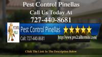 Pest Control Pinellas Largo image 8
